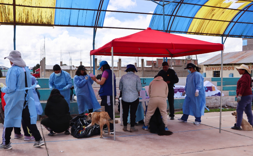 Juliaca | Continúa campaña de desparasitación y vacunación a mascotas Juliaca | Continúa campaña de desparasitación y vacunación a mascotas