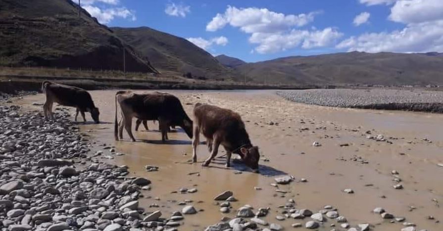 Puno | Dirección Regional de Energía y Minas confirma contaminación del río Ramis. Puno | Dirección Regional de Energía y Minas confirma contaminación del río Ramis.