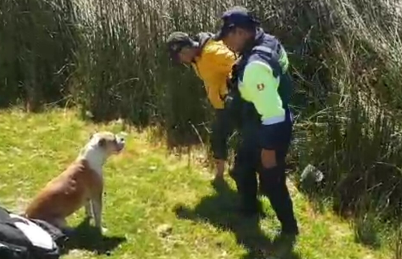 Puno | Serenazgo rescata a hombre que intentó lanzarse al lago Titicaca en estado de ebriedad