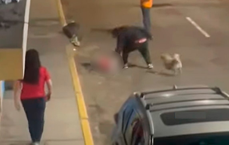 Perú | Sujeto acusado de quitarle la vida a mascota en Trujillo tenía antecedentes desde 2011 Perú | Sujeto acusado de quitarle la vida a mascota en Trujillo tenía antecedentes desde 2011