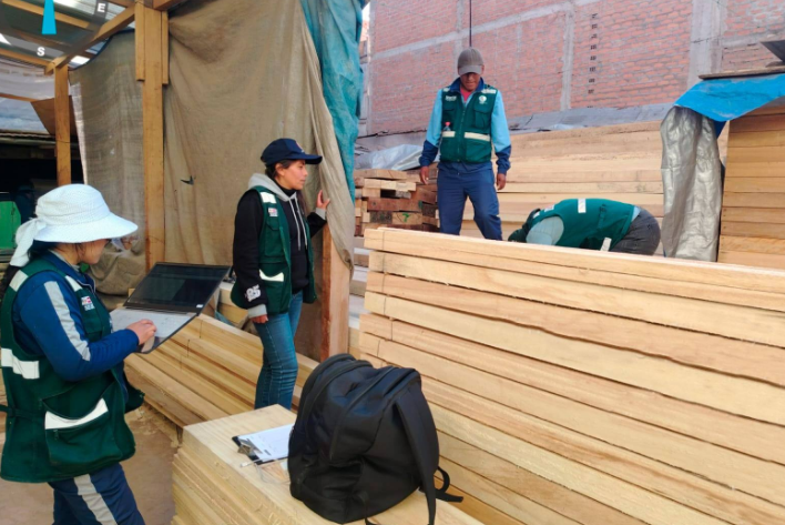Puno | Incautan madera valorizada en más de S/ 62 mil durante operativos forestales Puno | Incautan madera valorizada en más de S/ 62 mil durante operativos forestales