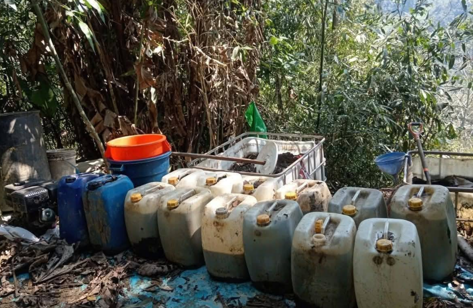 Sandia | Golpe al narcotráfico: intervención policial ocasiona pérdidas por más de 447 mil soles Sandia | Golpe al narcotráfico: intervención policial ocasiona pérdidas por más de 447 mil soles
