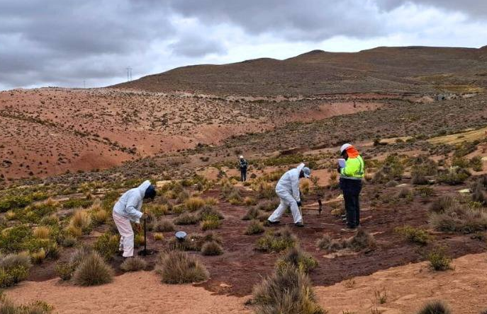 Moquegua | Camión cisterna volcó y contaminó 2,500 m² de suelo en kilómetro 117 Moquegua | Camión cisterna volcó y contaminó 2,500 m² de suelo en kilómetro 117