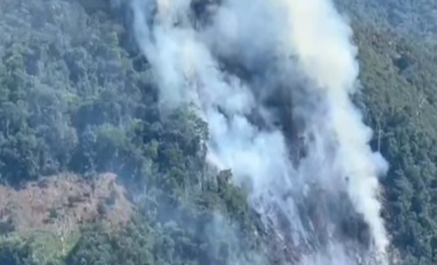 Carabaya | Incendio en Puerto Manoa arrasa flora y fauna del bosque carabaino