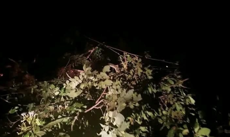 San Gabán | Deslizamiento interrumpe tránsito en la carretera Interoceánica