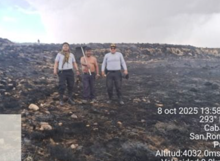 Cabana | Vecinos y policía logran controlar incendio forestal que arrasó 8 hectáreas en Cabana Cabana | Vecinos y policía logran controlar incendio forestal que arrasó 8 hectáreas en Cabana