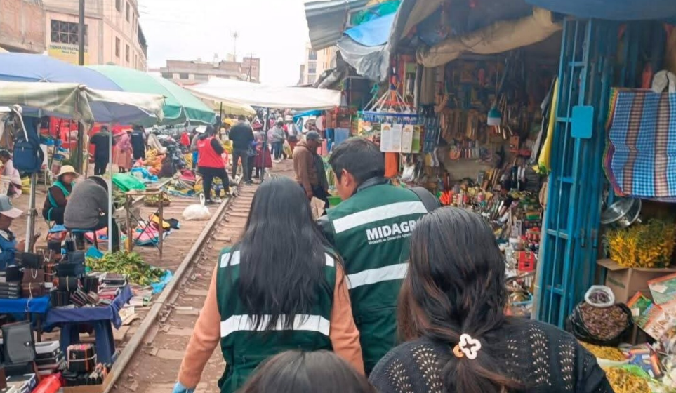 Juliaca | SERFOR incauta ranas del Titicaca que iban a ser usadas en jugos en un local naturista Juliaca | SERFOR incauta ranas del Titicaca que iban a ser usadas en jugos en un local naturista