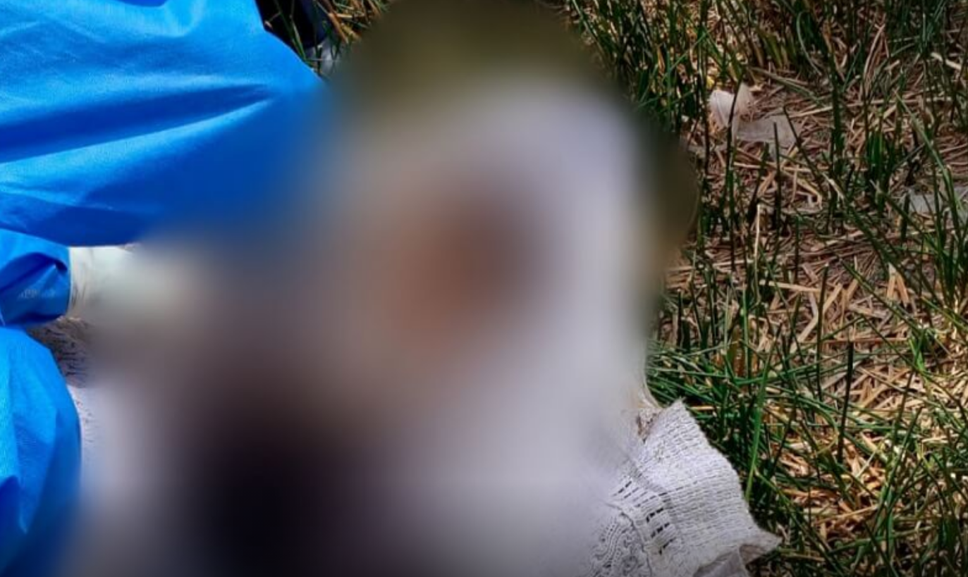 Puno | Piden ayuda para identificar a menor hallado sin vida en Jayllihuaya Puno | Piden ayuda para identificar a menor hallado sin vida en Jayllihuaya
